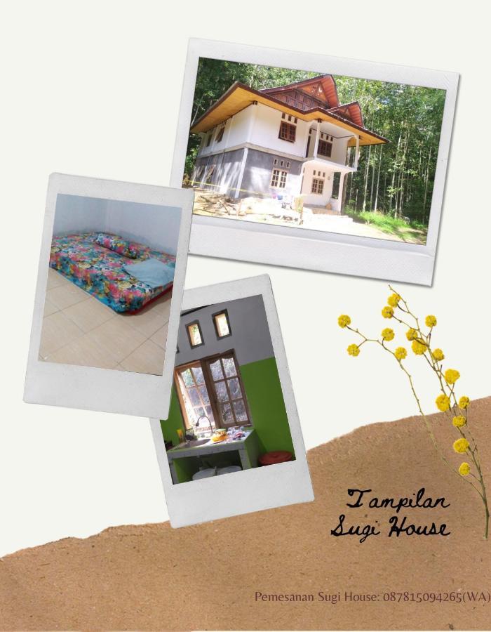 Sugi House Toraja - Villa Penginapan Sewa Harian Rantepao Ngoại thất bức ảnh